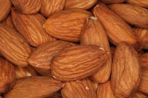 Select Harvests is installing a state-of-the-art almond-only processing plant.
